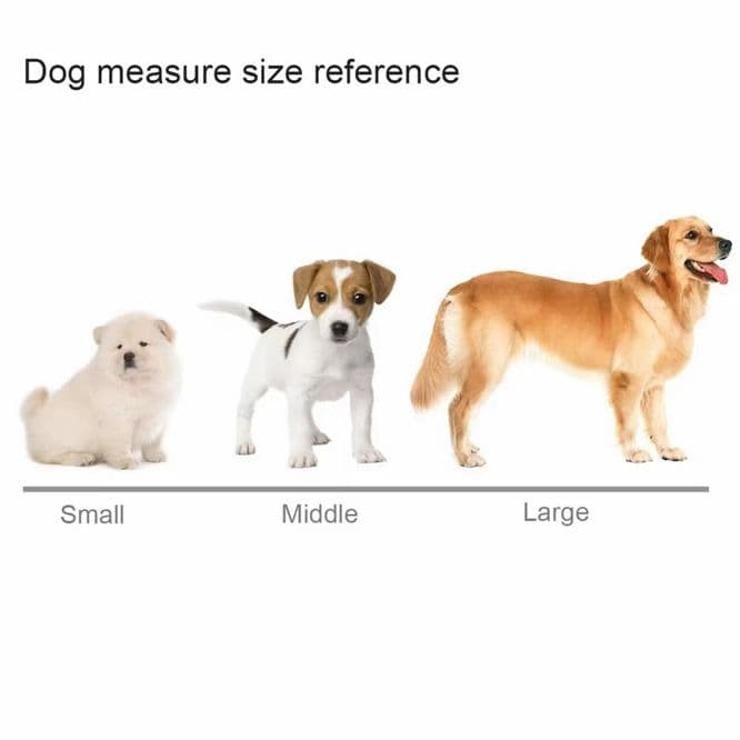 Dog size reference showing small, middle, and large dogs