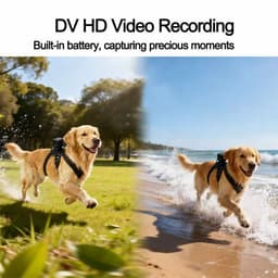 PetView harness in use